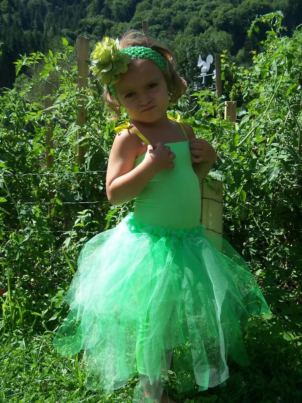 Petite fille debout dans un potager ensoleillé, entre des plants de tomates, vêtue d'une robe tutu au haut vert pomme à fines bretelles et à la jupe en tulle vert vif très vaporeuse, avec un bandeau vert orné d'une fleur dans les cheveux